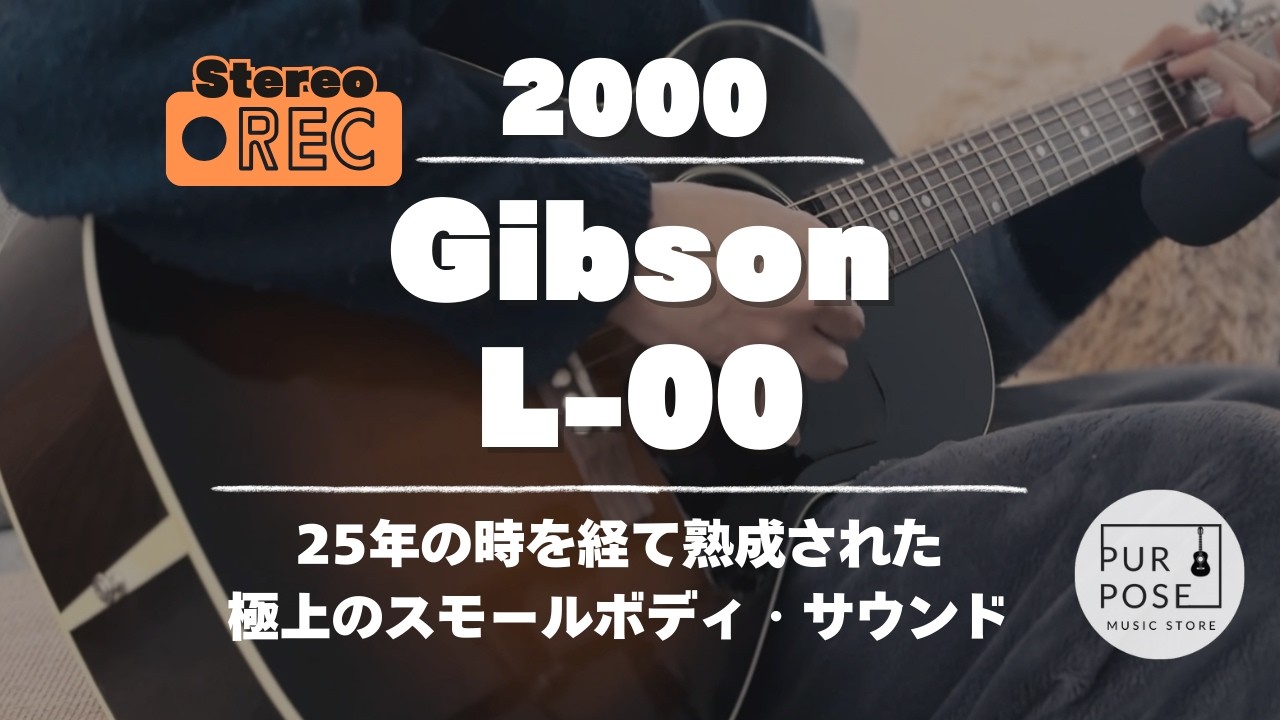 カワセ楽器 Billy（田原楽器製）70年代 - YouTube