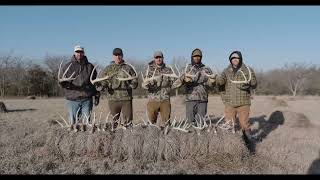 Domain Outdoor Food Plot Seed Big Sexy 3lb Jug (Plants 1/2 ACRE