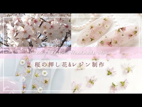 制作vlog】春なので桜🌸の押し花作ってレジン封入してみた #レジン