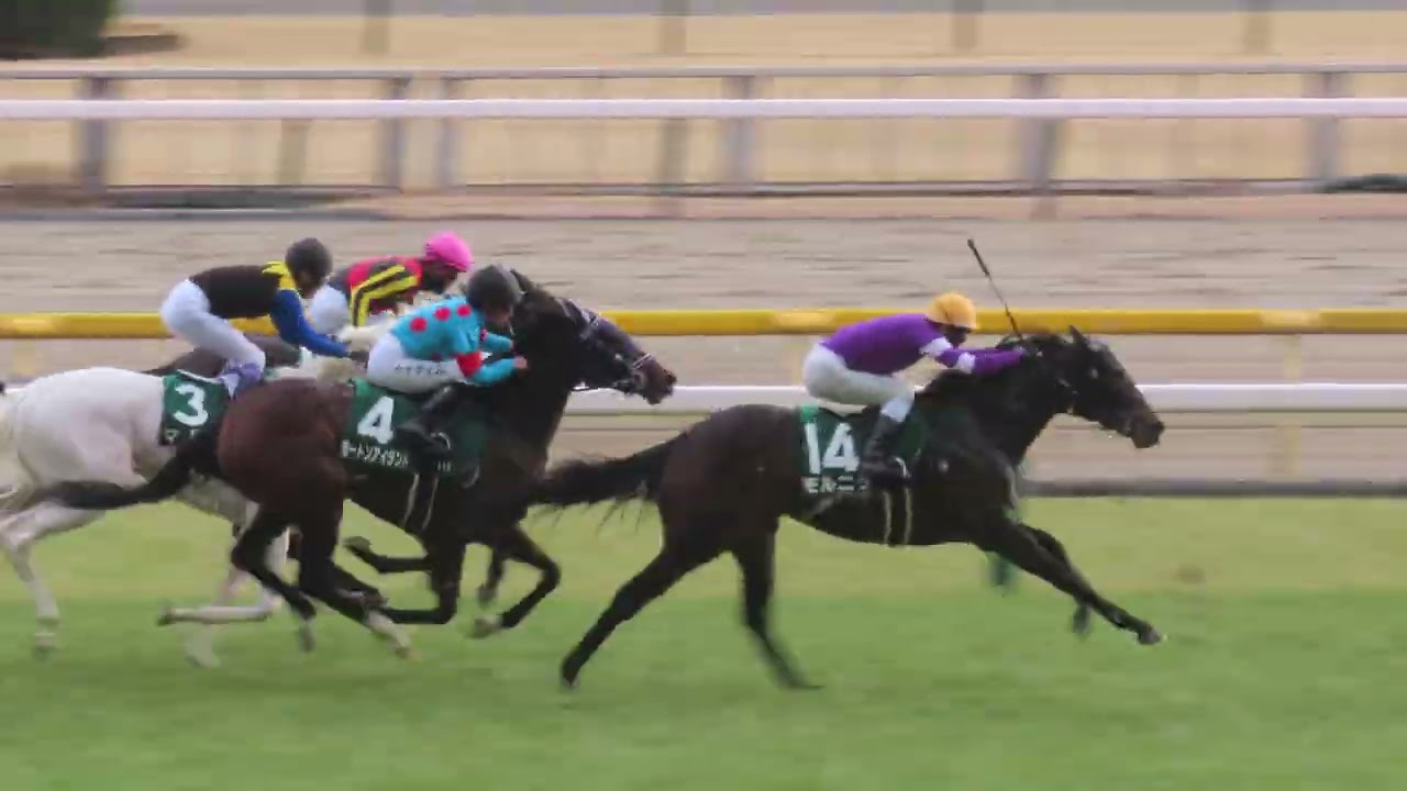 2001年 菊花賞（GⅠ） | マンハッタンカフェ | JRA公式 - YouTube