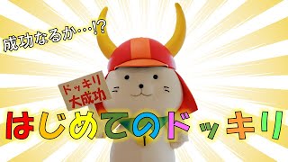 14 - Will it succeed? ～This is Hikonyan's first surprise project