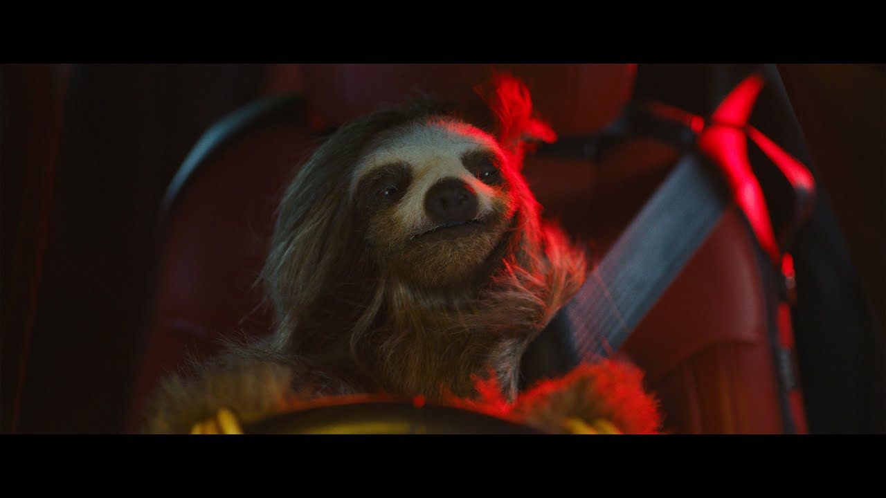 公開直前！『キラー・ナマケモノ』ハイウェイを真っ赤な車でナマケモノ