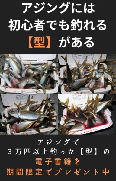 オリムピック】ヌーボコルト プロトタイプ612L－Tのインプレ