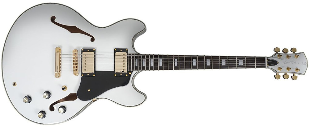 豊かで、力強いトーン「セミアコースティックギター特集」【エレキ