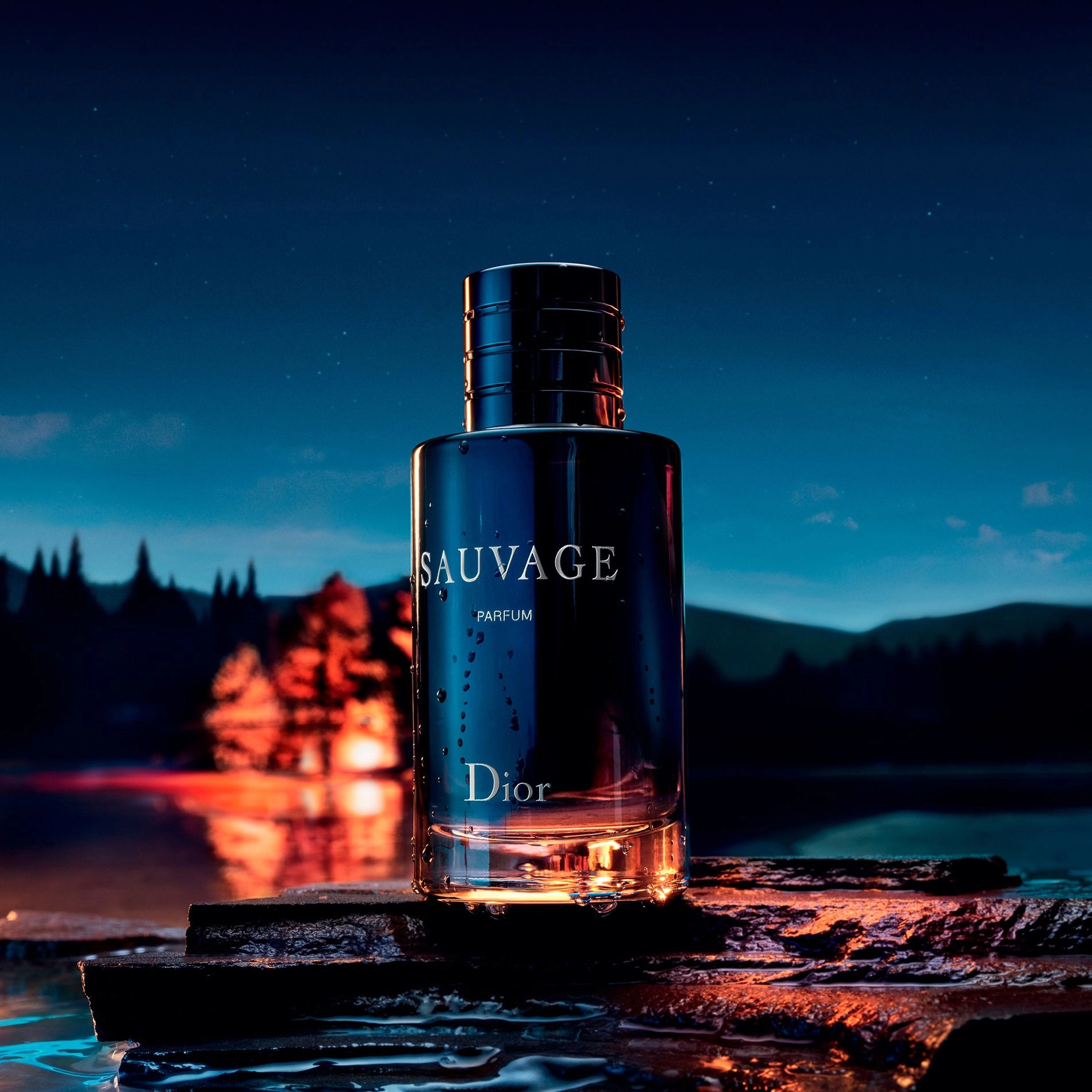 Dior Sauvage Parfum - Духи мужские, 60 мл - купить, цена, отзывы