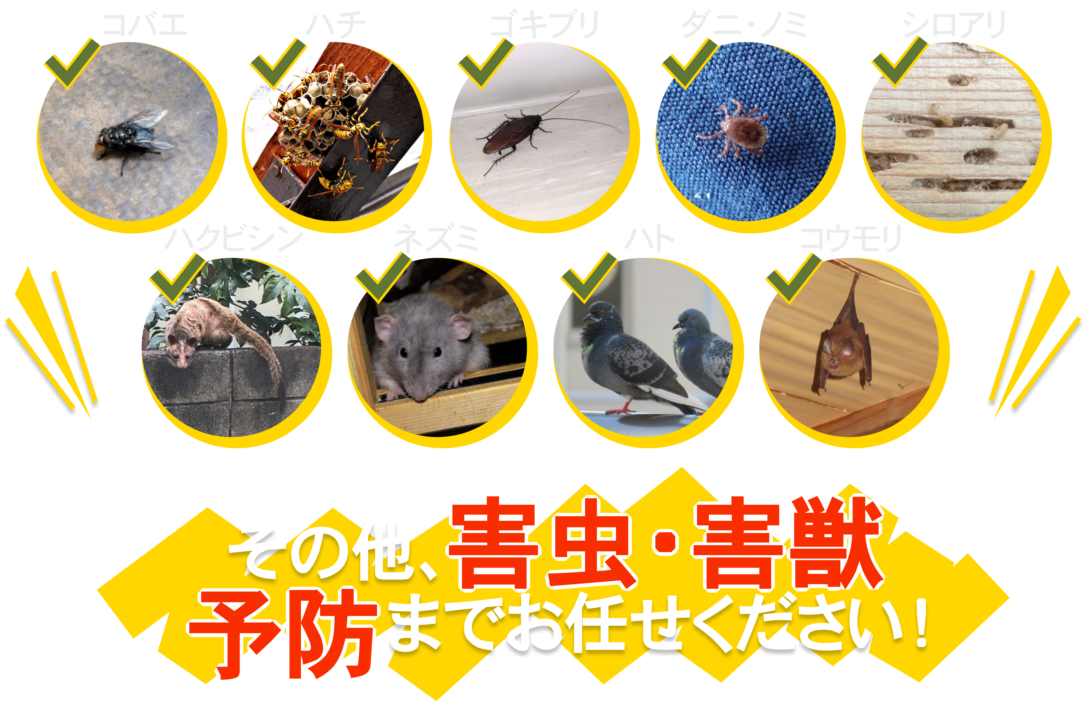 害虫害獣バスターズ