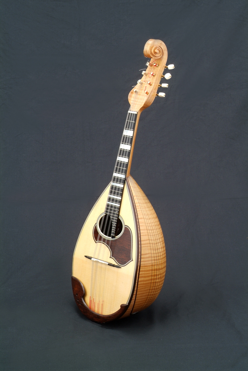 野口マンドリン | 絃楽器のイグチ