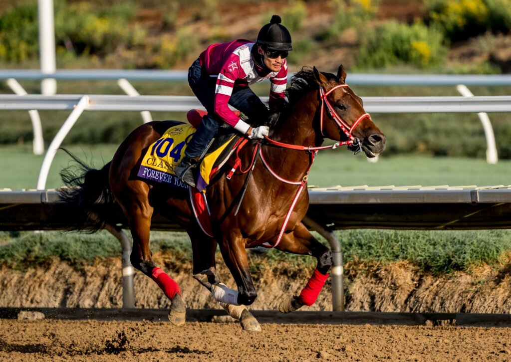 BCクラシックのフォーエバーヤングは「5番枠」、矢作師は好感触