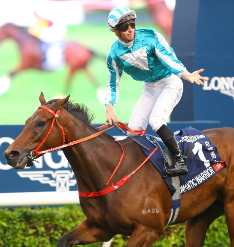 シャティン競馬場】飲食チケット付・香港競馬ガイドツアー - Idol Horse