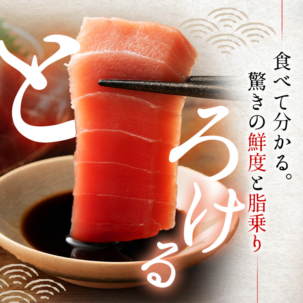 高知県産 一極 本まぐろ 中トロ 赤身 食べ比べセット – 池澤鮮魚