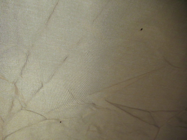 ネオキャビン ライナーシートセット | アウトドア用品・アウトドア