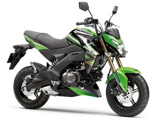 カワサキ（KAWASAKI）2017年 Z125 PRO Special Edition・特別・限定