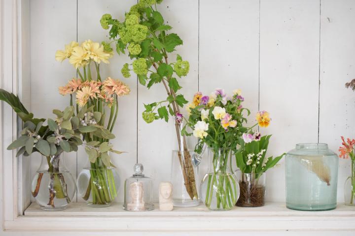 南青山の花と古道具の店「はいいろオオカミ＋花屋 西別府商店