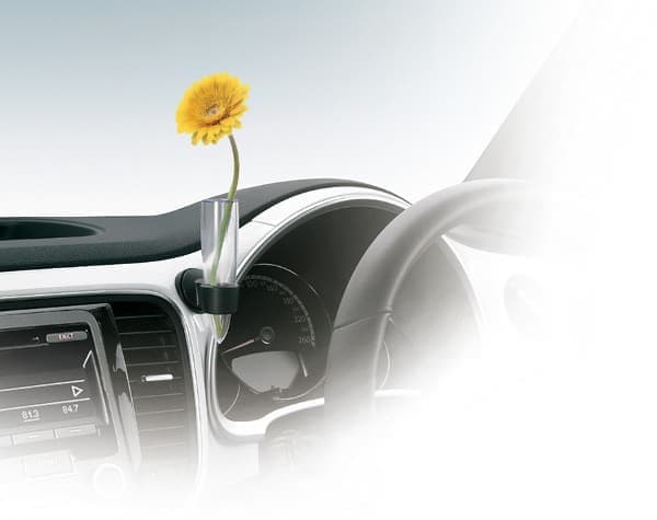 ザ・ビートル」に車内を花で飾れる特別仕様車「ブロッサム」 [えん乗り]