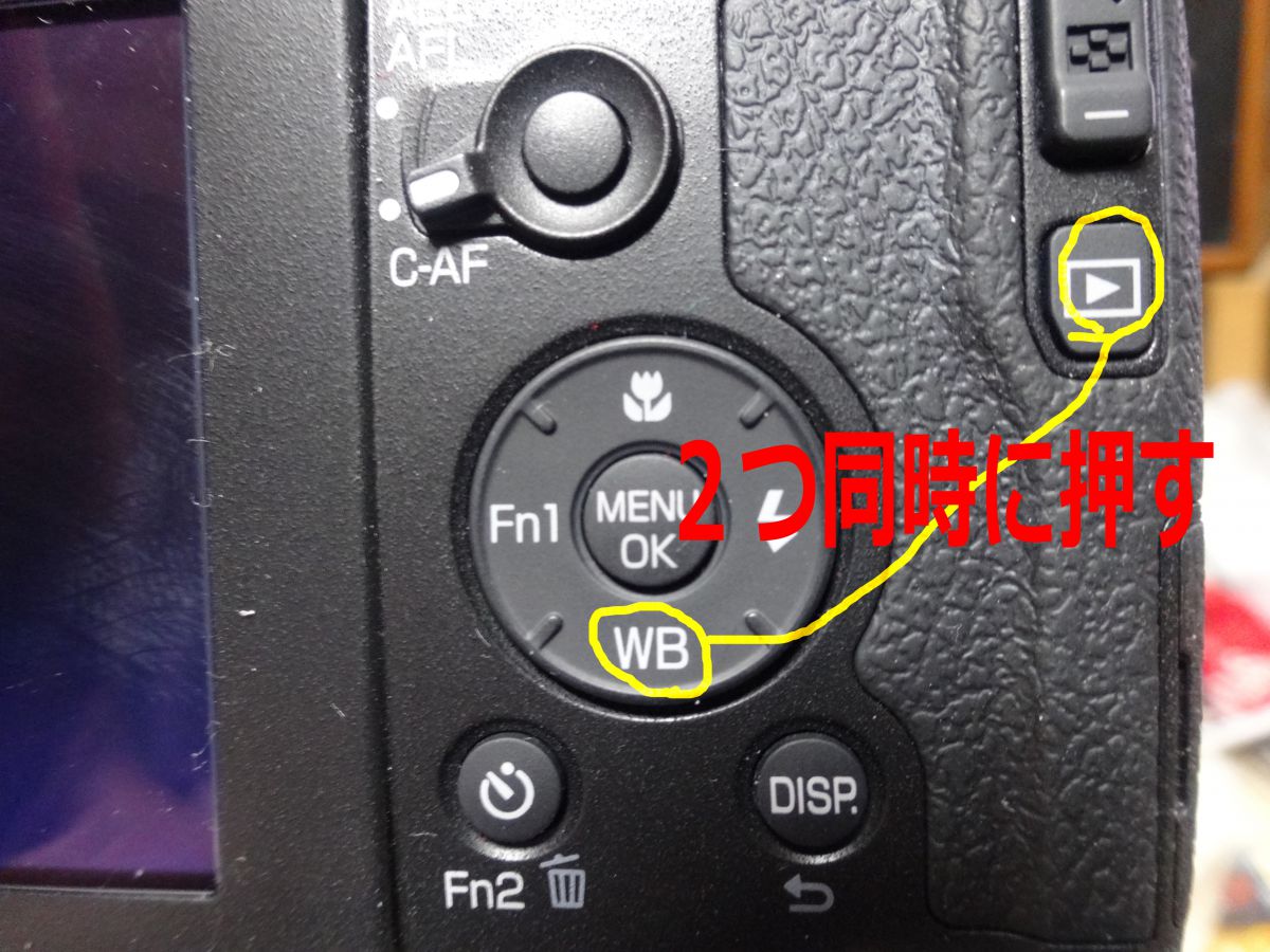 RICOH GRの総シャッター回数を見るには？ | GANREF