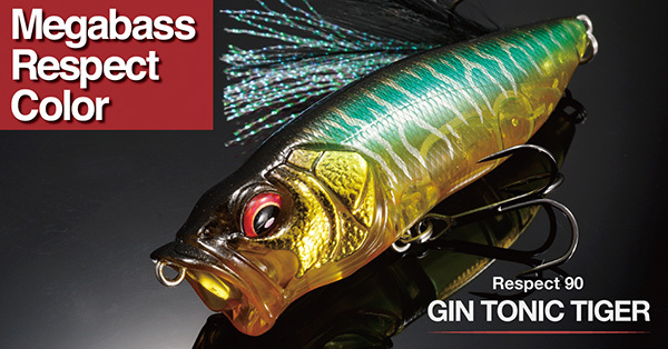 ヒラスズキ 磯ヒラ ヒラ シーバス スズキ 山陰 磯釣り 磯 マズメ