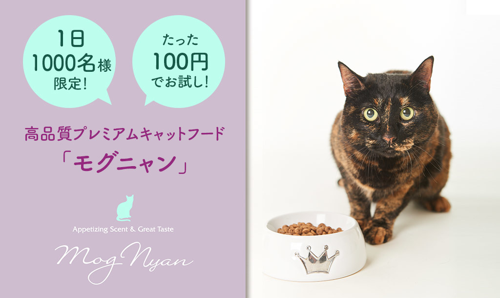 厳選素材を贅沢に使用！ 安心と美味しさを追求したプレミアムフード