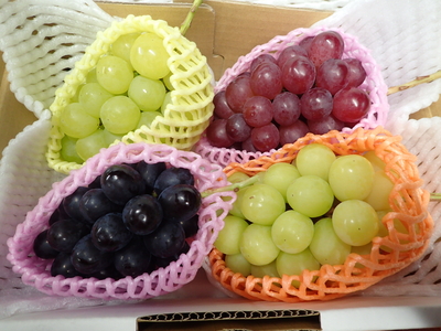 ぶどう2種ミックス | やまざきファーム 長野県須坂市のフルーツ農園