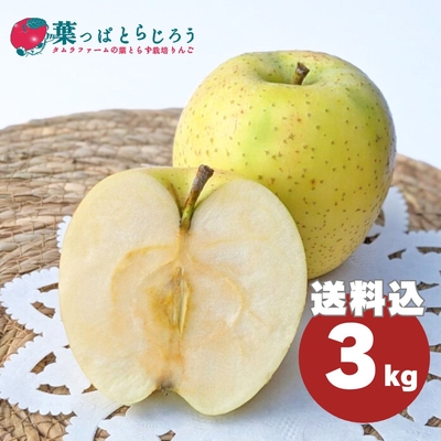 王林りんご 3kg | タムラファームショップ