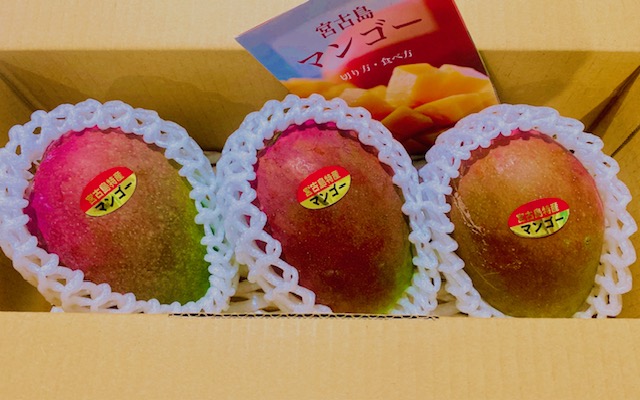 宮古島産【家庭用マンゴー】1kg 県内・県外発送 | 大野果樹園／宮古島