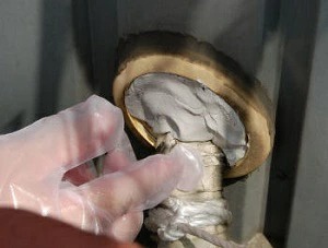 楽天市場】ねずみ駆除 業務用 ネズミ忌避パテ キクネン B-7V 1kg 日東