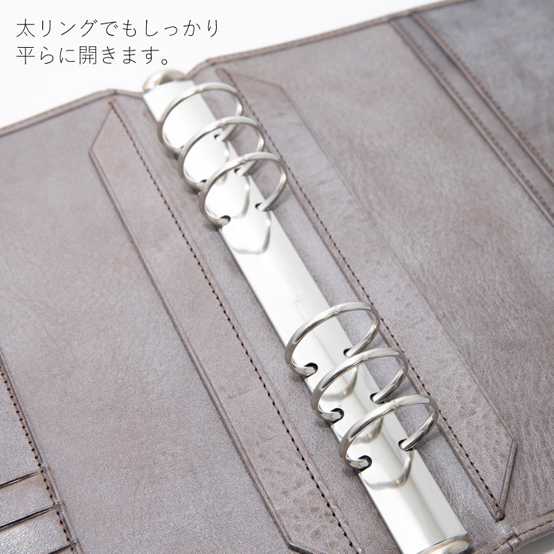 Davinci×NAGASAWA システム手帳 ロロマ クライム A5 30mm