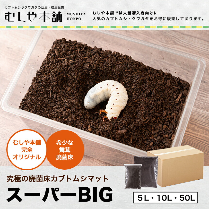 楽天市場】超高カロリー 廃菌床 カブトムシマット スーパーBIG むしや