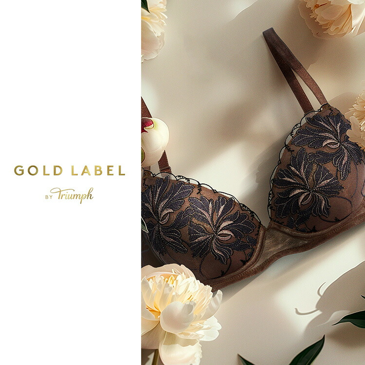 D70M ゴールドレーベル バイ トリンプ リバーレース ブラ＆ショーツM014 ゴールドレーベル バイ トリンプ4008 はきこみ深めショーツ TR4008