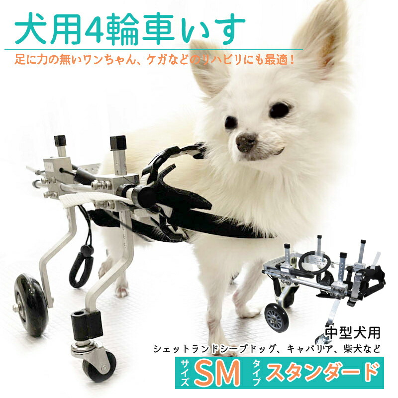 楽天市場】歩行器 犬用 補助輪 犬用車いす チワワ 超小型犬 老犬 SS