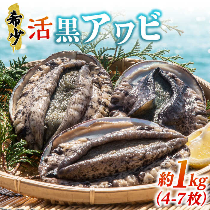 楽天市場】【ふるさと納税】 活アワビ1kg（4-7枚）（黒アワビ）《壱岐