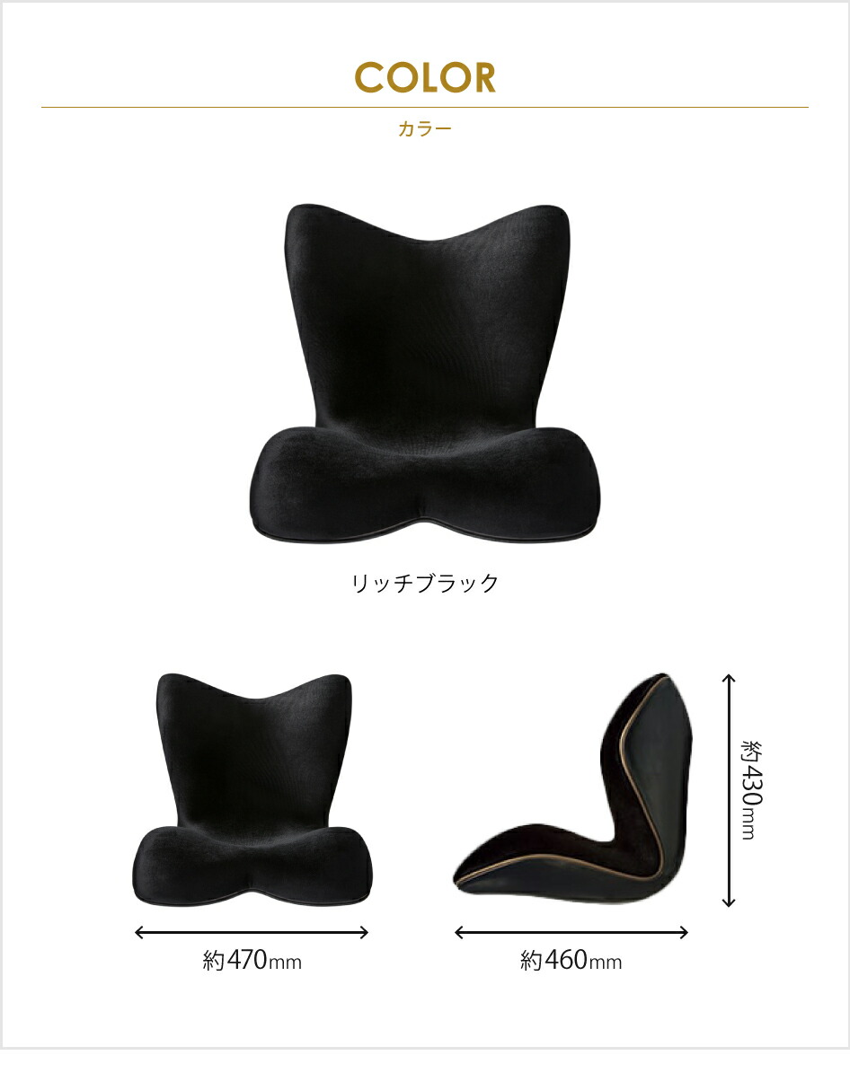 楽天市場】姿勢ケアシート スタイル プレミアム デラックス MTG Style