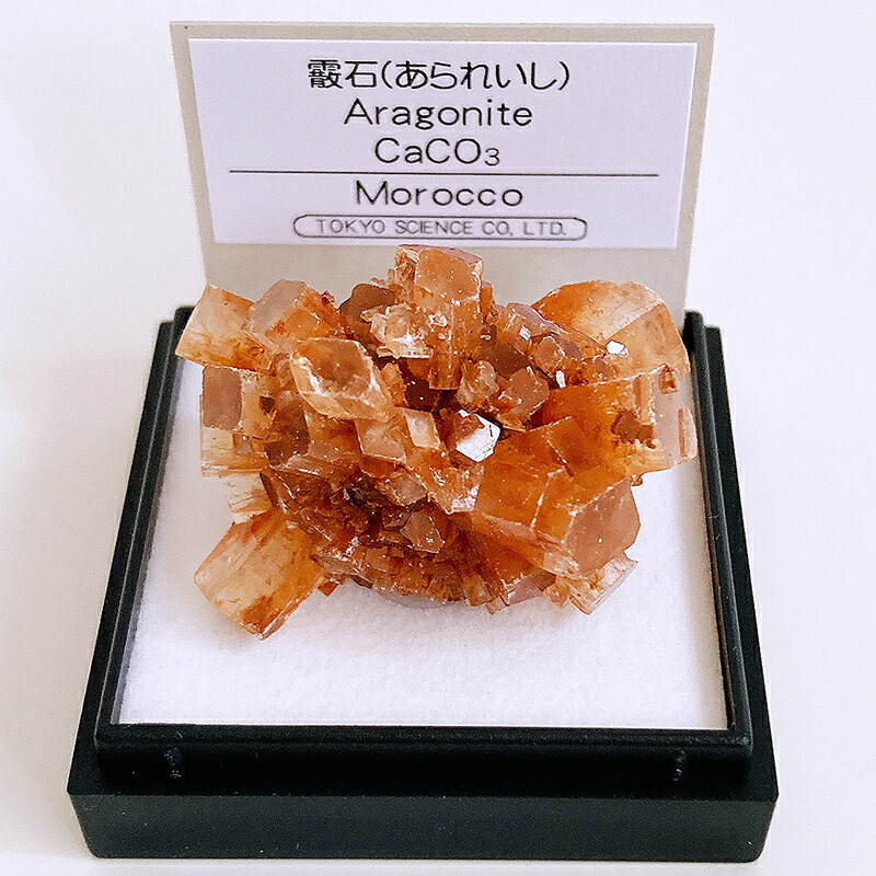 楽天市場】蛍石 （中国） フローライト 鉱物 標本 東京サイエンス ミニ