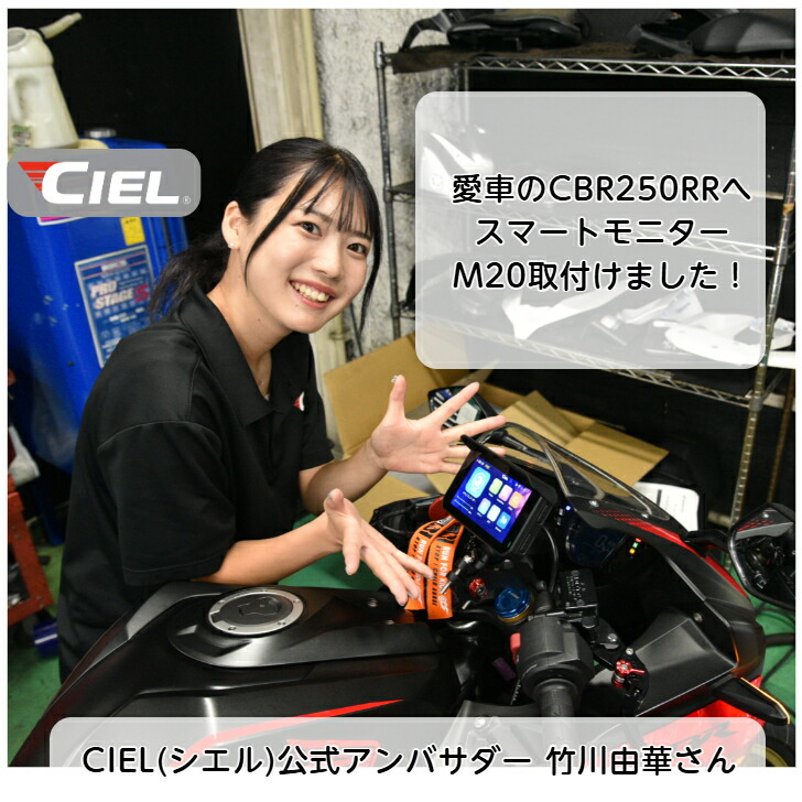 楽天市場】CIEL(シエル) マルチスマートモニター M20/M16 Apple