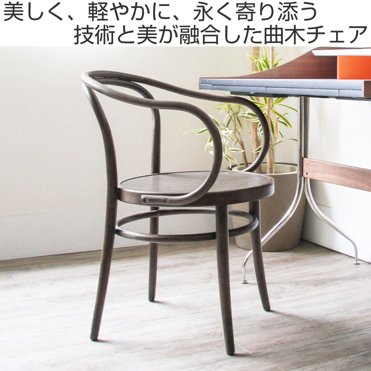 楽天市場】ダイニングチェア 座面高46cm 曲木チェア ルネ （ 食卓椅子