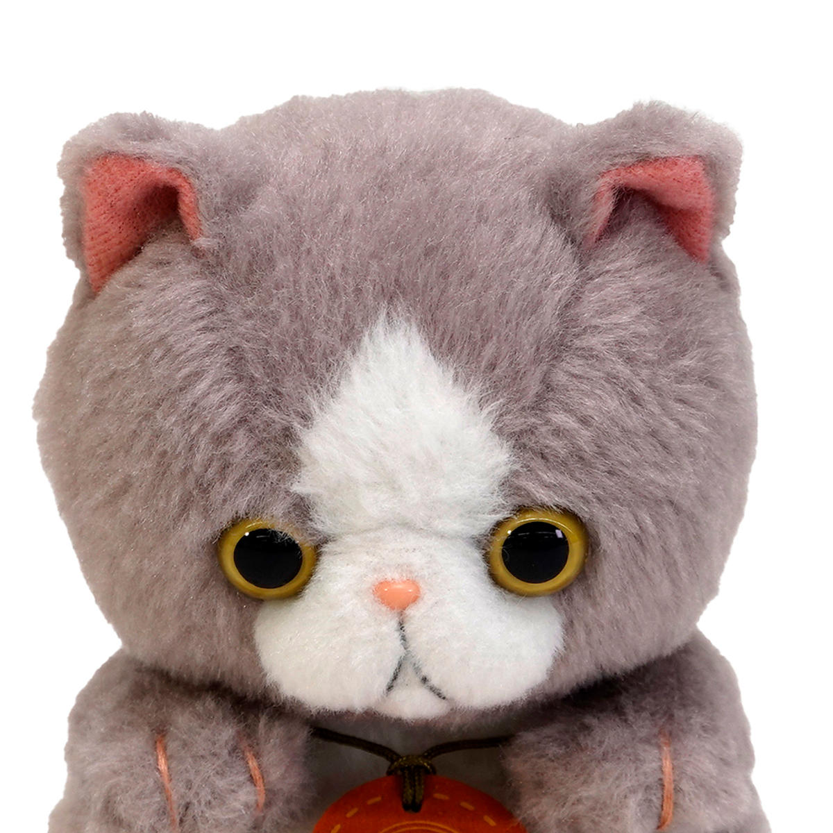 楽天市場】ぬいぐるみ potte エキゾチックショートヘア （ ヌイグルミ