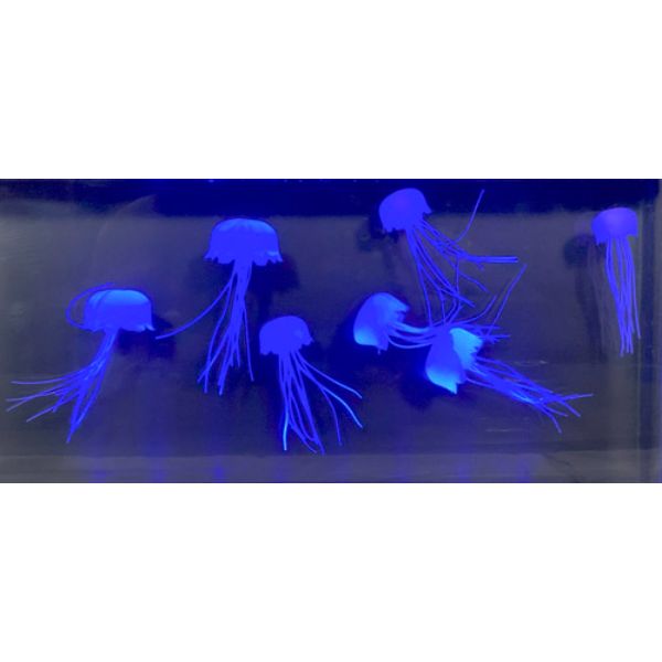 予約品】 アクアリウム クラゲ ワイド