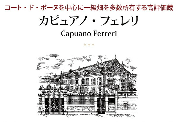 2022 シャサーニュ モンラッシェ ヴィエイユ ヴィーニュ ルージュ