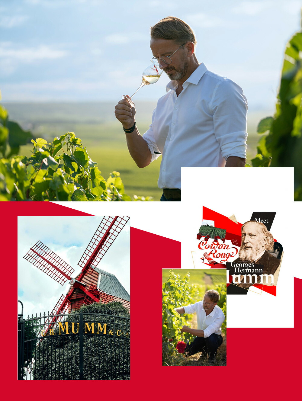 楽天市場】マム シャンパーニュRSRVキュヴェ ラルー プレステージ