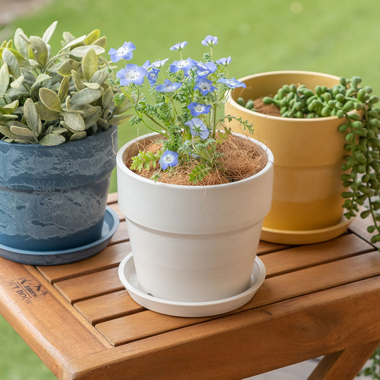 楽天市場】植木鉢 プランツポット 4号鉢 プラスチック 無地 受け皿付き