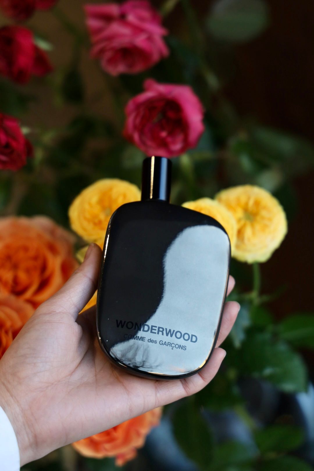 COMME des GARCONS PARFUMS - コムデギャルソン香水 Amazingreen Eau