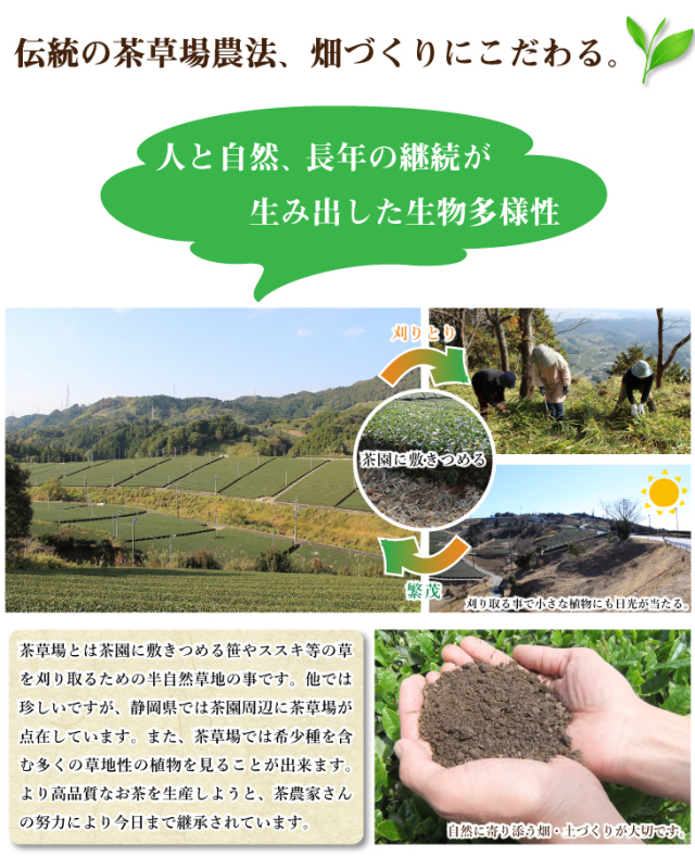 送料無料 こもがけ100g×3袋セット / No138