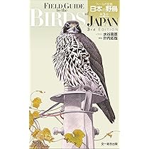 原寸大写真図鑑 羽 増補改訂第2版 | 叶内 拓哉, 高田 勝, 新谷 亮太