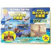 飛び出す!海のいきもの大図鑑 ヒトデフィギュア付き: リアルな海の