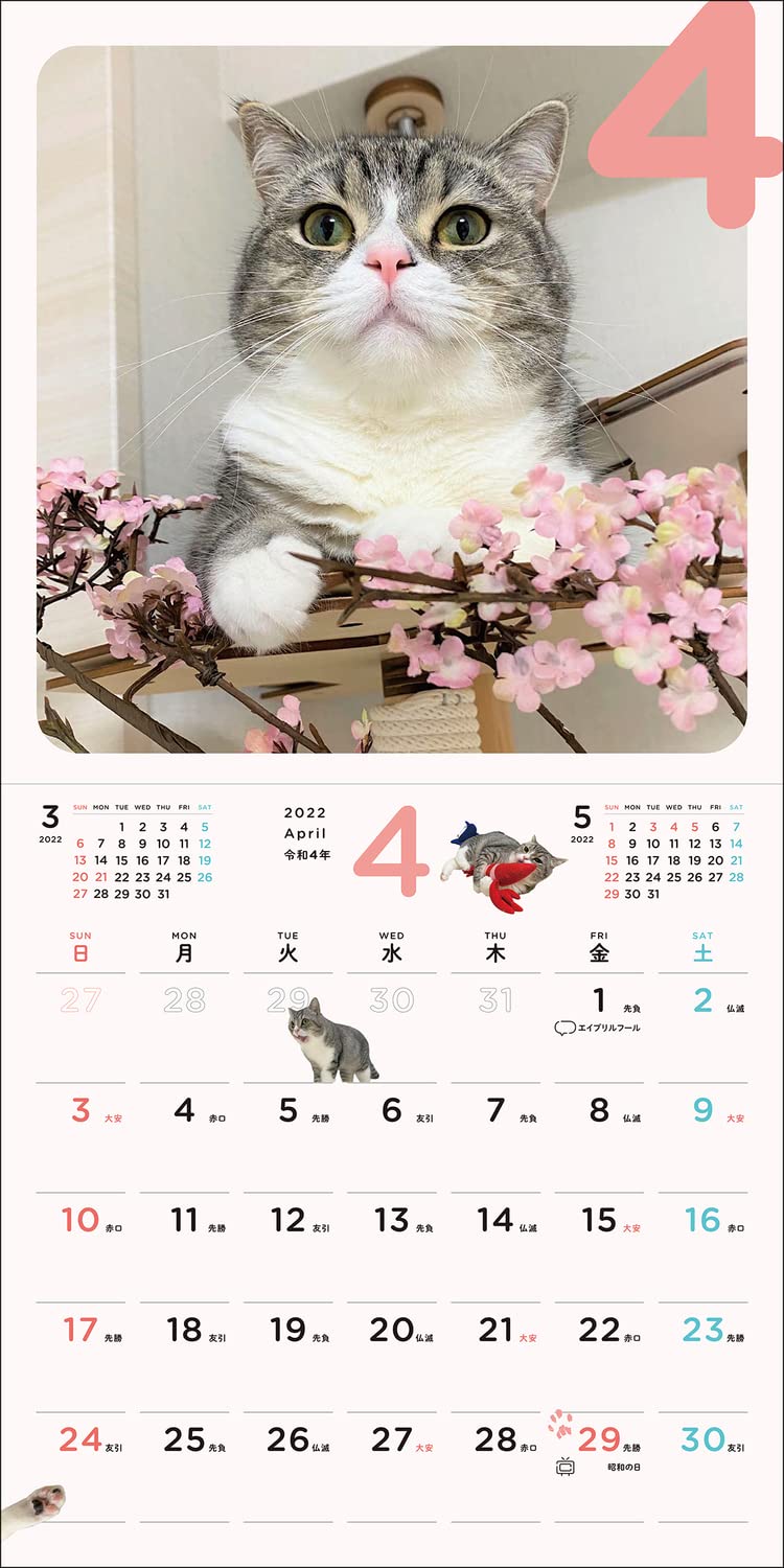 もち様”の可愛さ詰まった「もちまる日記2022 4月はじまりカレンダー
