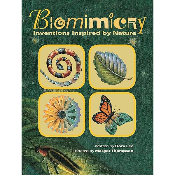 World Piecebook: Global Graffiti Drawings: Jenkins, Sascha