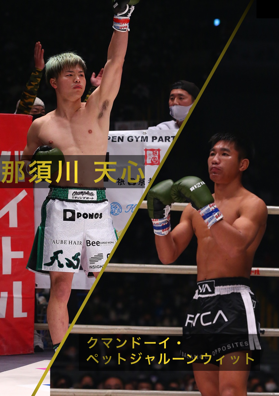 HATTRICK（ハットトリック）-選手の想いをファンへ届ける公式