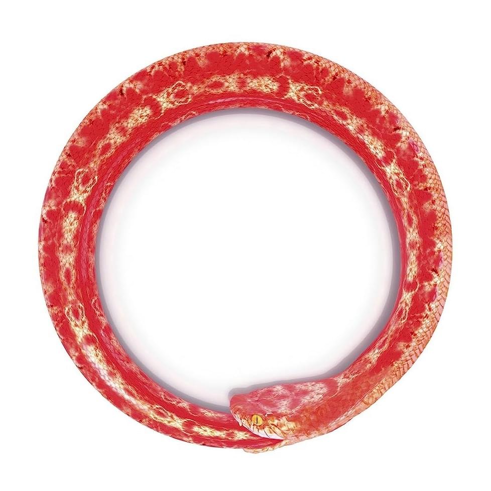 ONE OK ROCK – 完全感覚Dreamer (Kanzen Kankaku Dreamer) Lyrics