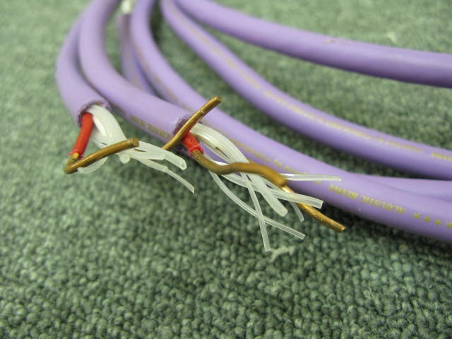 SPC-REFERENCE/2.0m ACOUSTIC REVIVE - 中古オーディオ 高価買取・販売