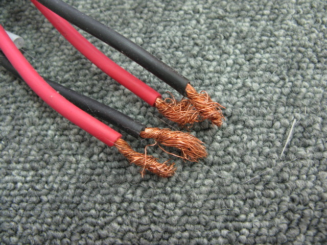 Greenline vivace/1.8m EINSTEIN - 中古オーディオ 高価買取・販売