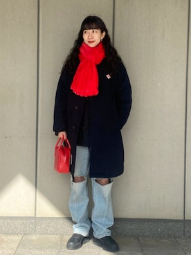 DANTON × Ray BEAMS / 別注 スタンドカラー モッサダウン コートを使っ